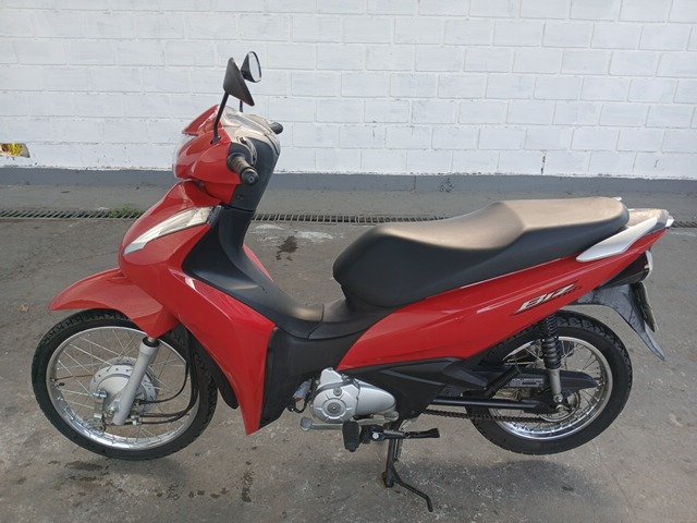  BIZ 110I ANO 2023/2024